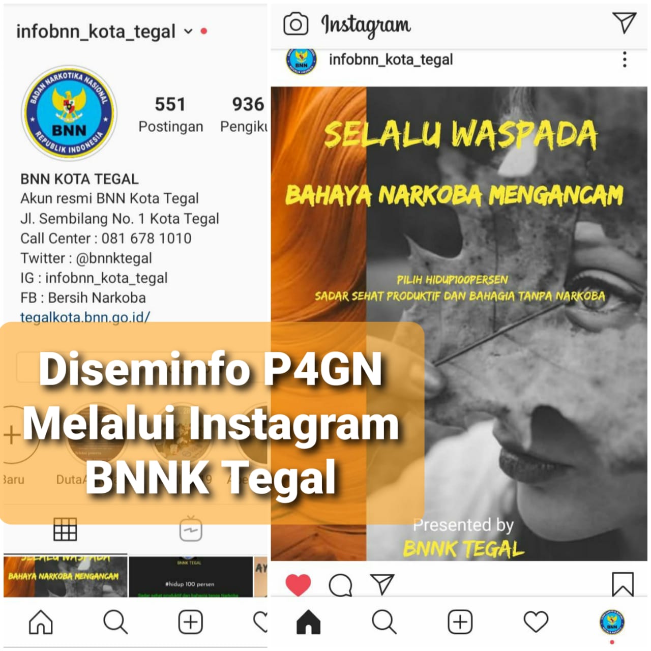 Penyampaian Informasi P4GN melalui Instagram BNNK Tegal. Penyampaian Informasi P4GN melalui Instagram BNNK Tegal.